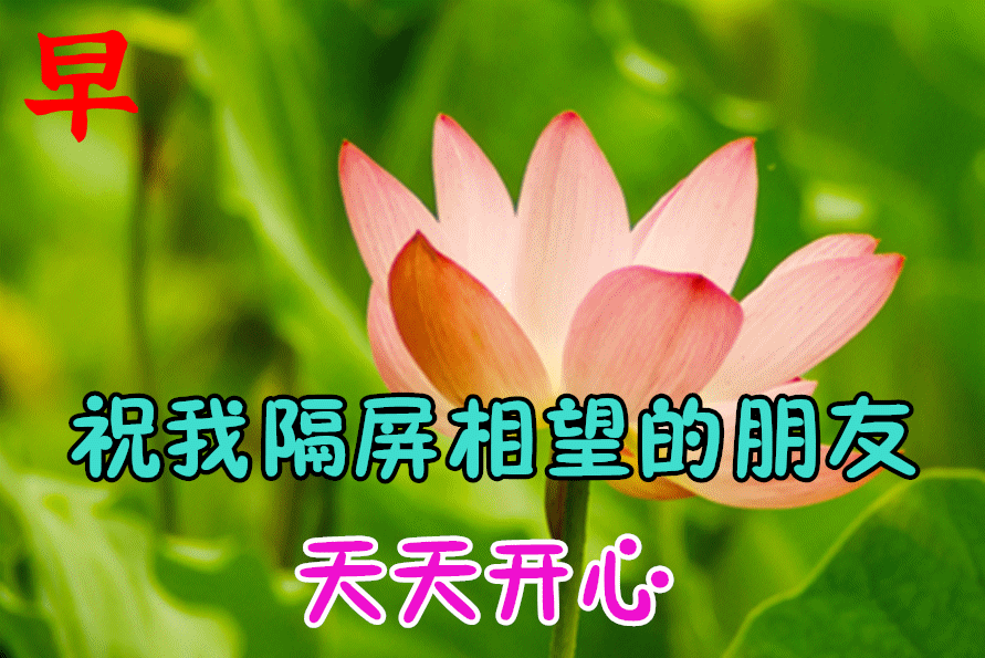 早上好的句子 早安祝福问候带字图图片