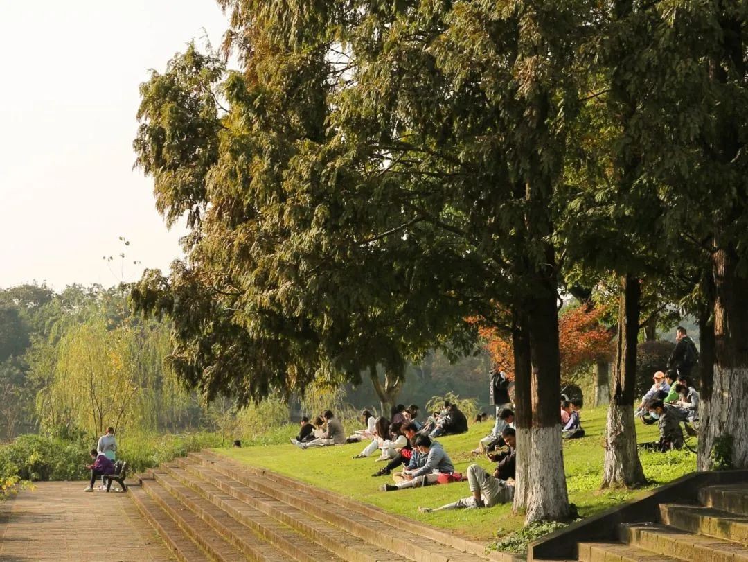 缺口55至100万！这类人才需求迫切、就业可观！四川大学提前布局！