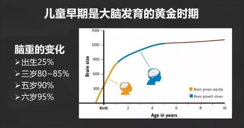 0-3岁是大脑发育黄金期，抓住这段关键期，正确早教促进大脑发育