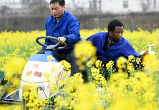 仅仅20年时间，这所985就从曾经的“顶流”，变成现在的“末流”