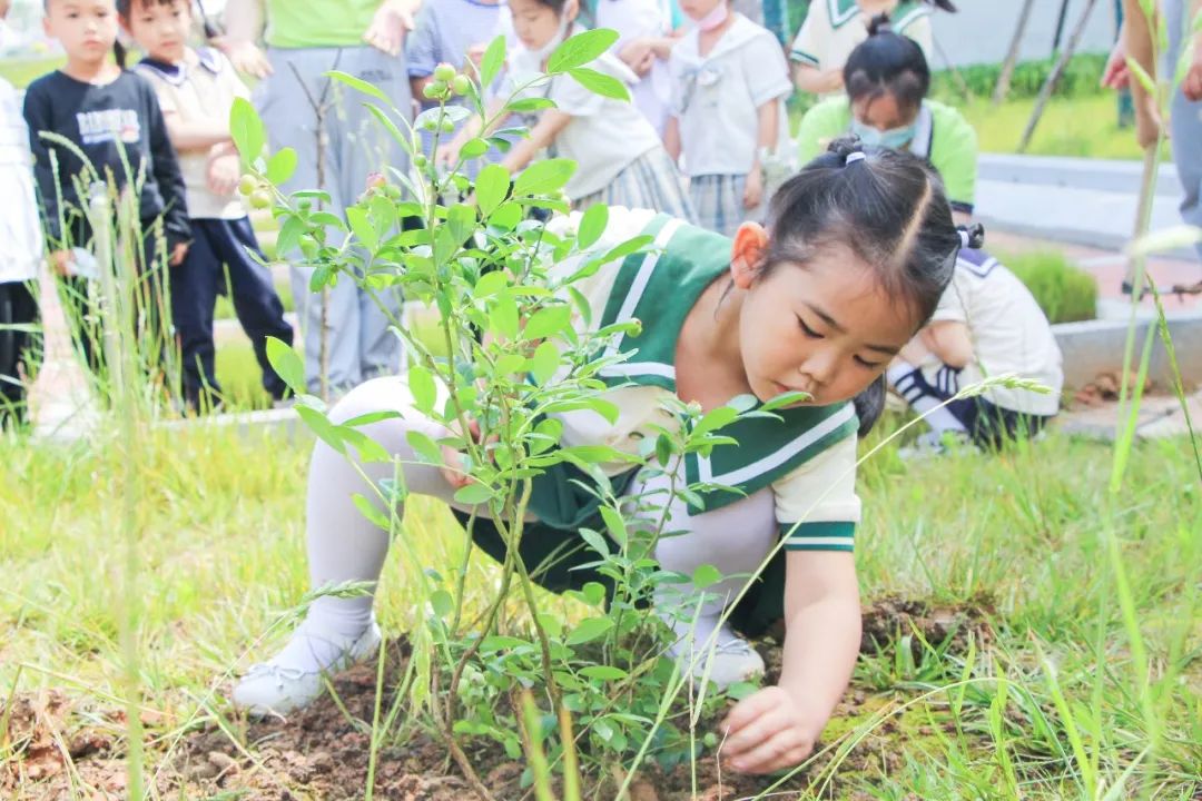 成都市双流区黄甲小学携手黄甲幼儿园开展手拉手幼小衔接活动