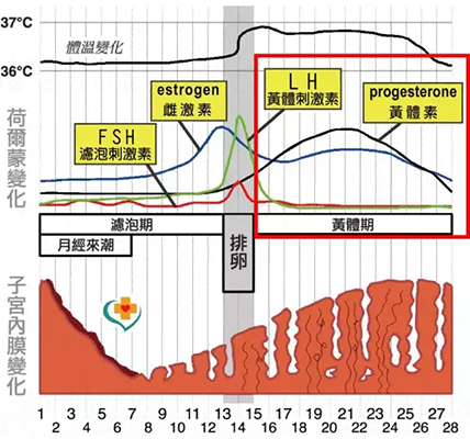 为什么经期前后总犯头痛？脑科医生告诉你该怎么做，这6点很重要