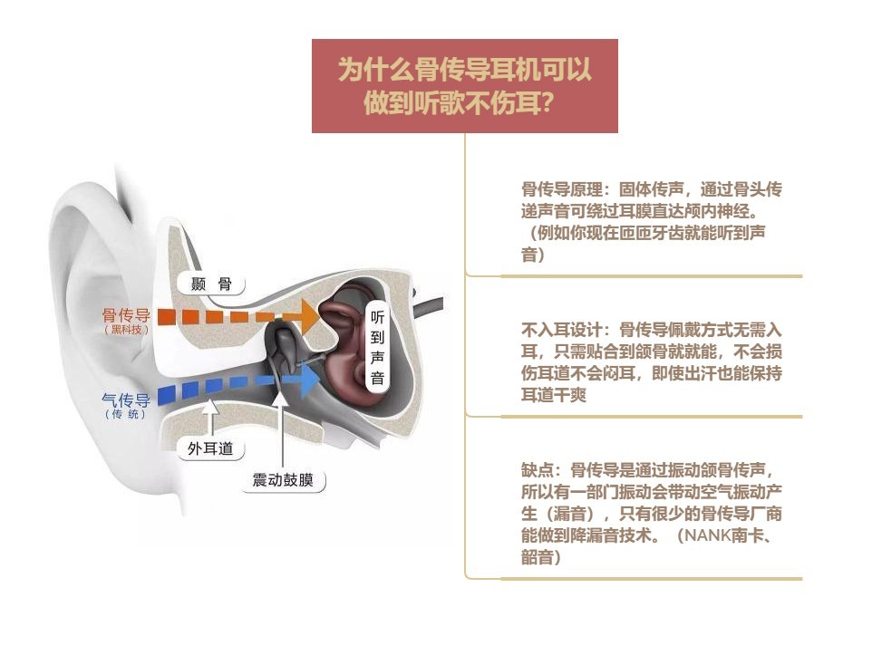 十大最受欢迎骨传导耳机品牌，全球最好的骨传导耳机排行榜测评