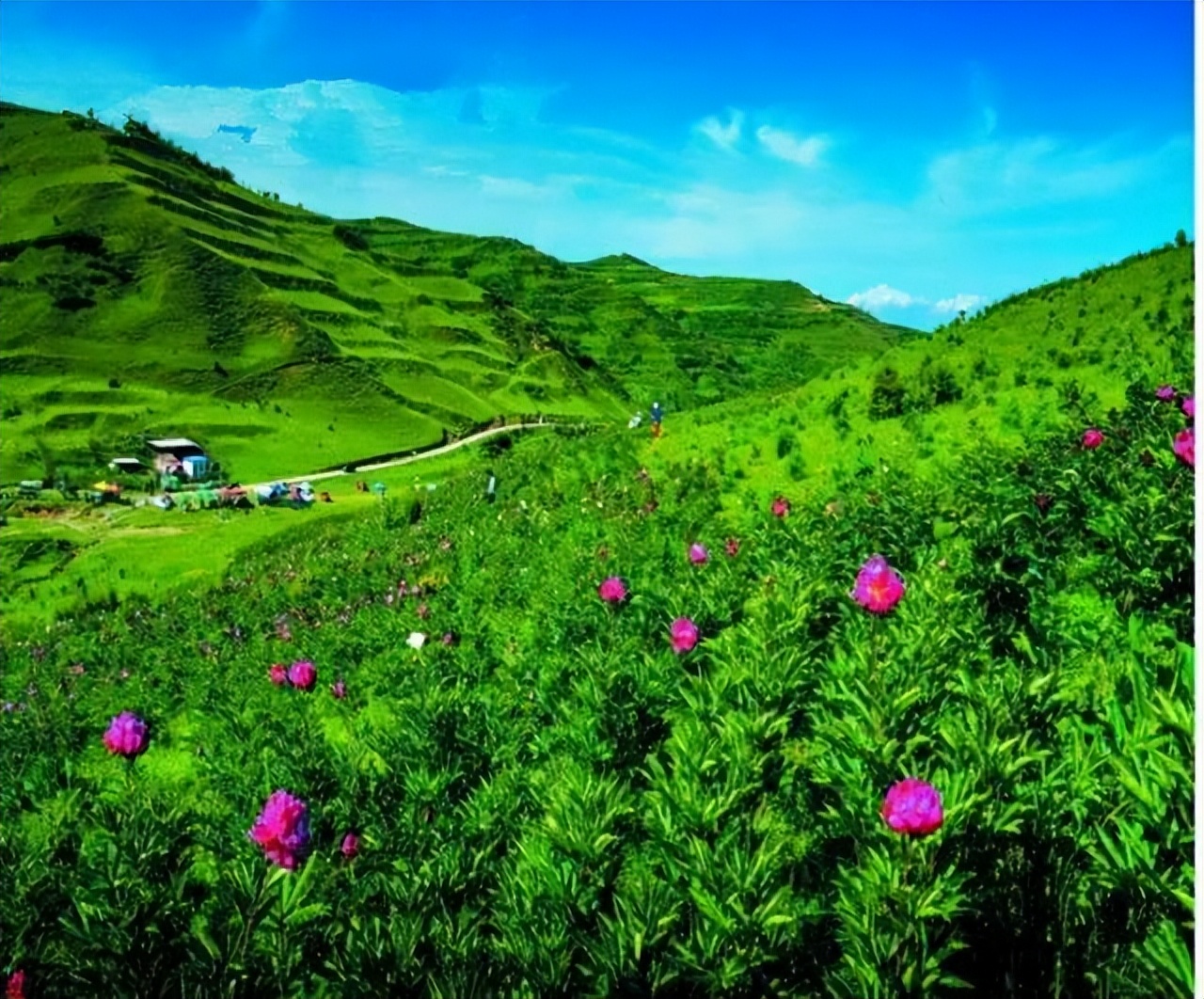 临夏州旅游大通道康乐县段沿线景点介绍
