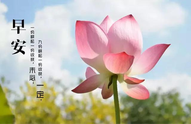 图片文字|早安,新的一天,愿你今天拥有好运气,对一切充满感激