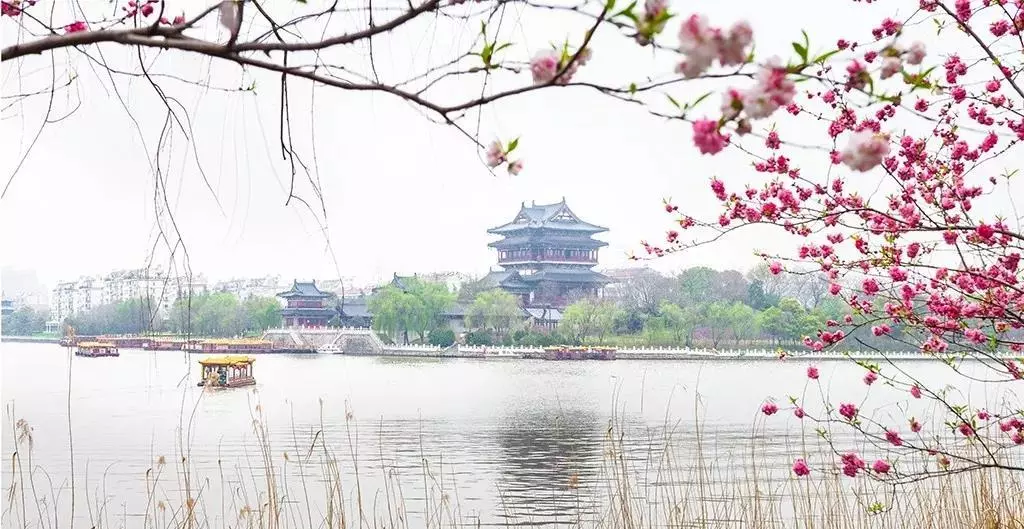 它是中国最具幸福感的城市，低调得没人记得，却是美食纪录片天堂