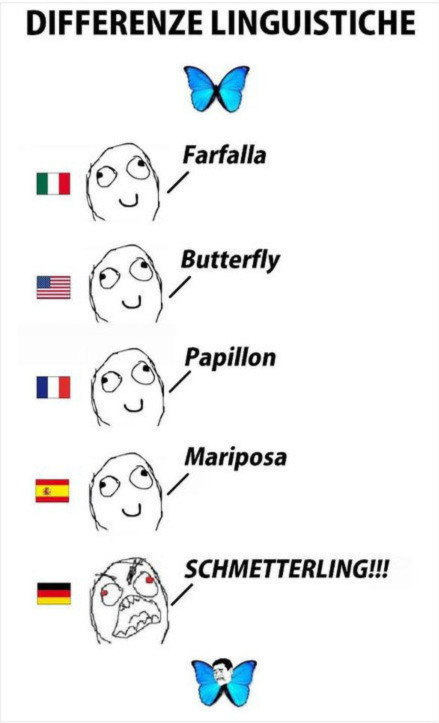 2022年新增3+证书高职高考外语专业——德语