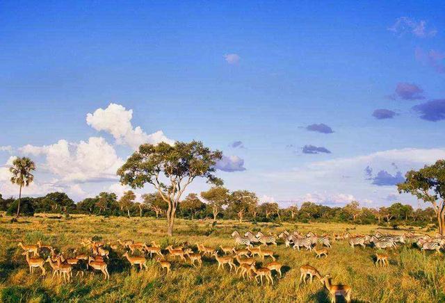 йֲ̻ˮԴȱѧңȿһѷ