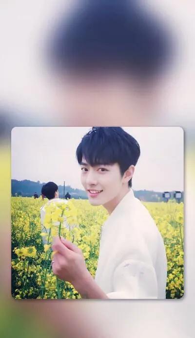 肖战|最火锁屏壁纸,你们最喜欢哪张壁纸呢