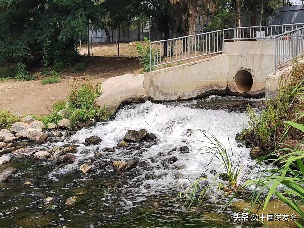 污水偷排水库？呼吁有关部门重视水质监测｜北京沙河湿地公园建设