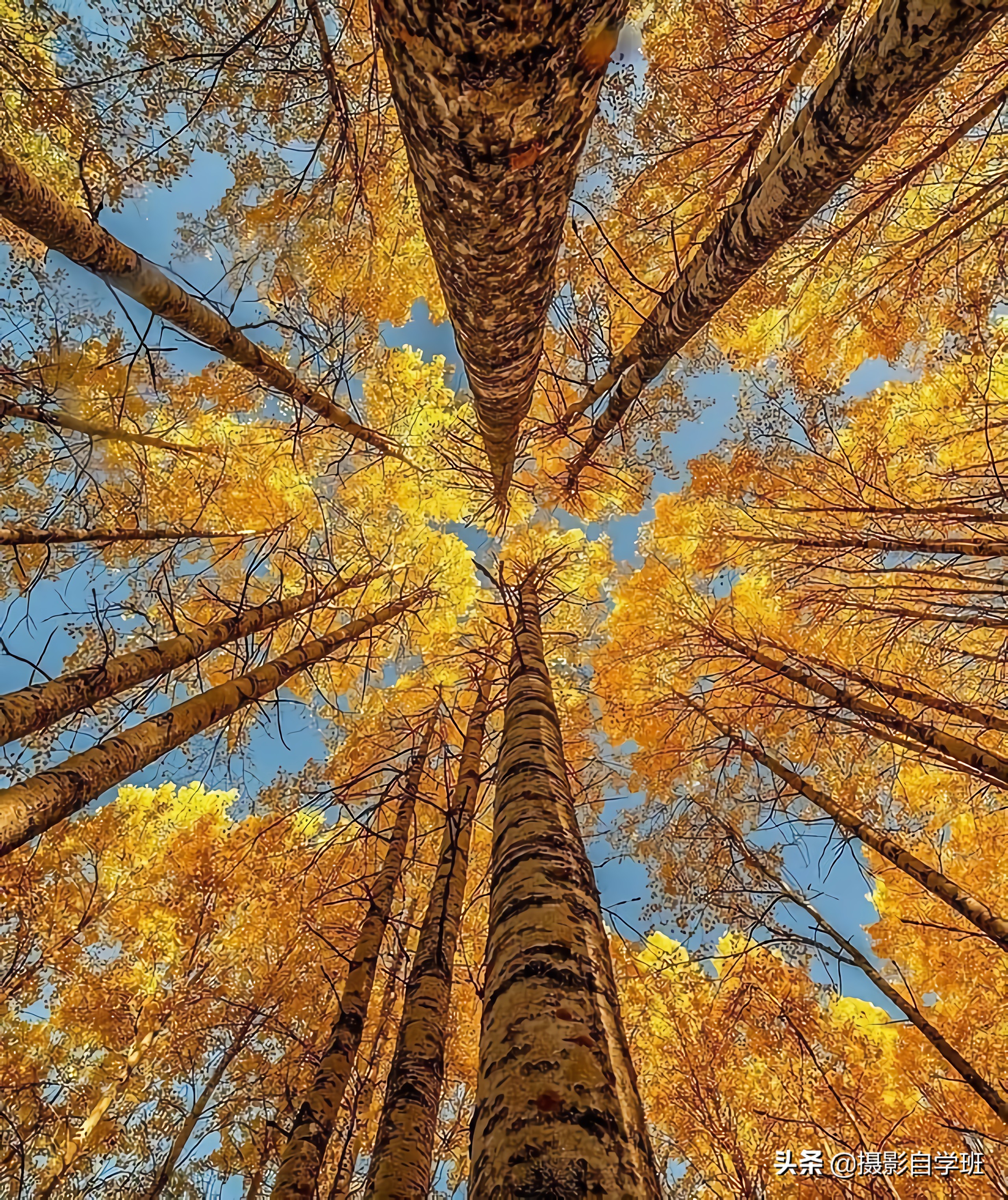 8个拍美风光照片的摄影技巧，帮你不再错失美景，现在学起来不晚