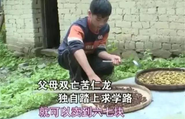 吃得苦中苦方为人上人，孩子真棒，愿你苦尽甘来，一切如你所愿