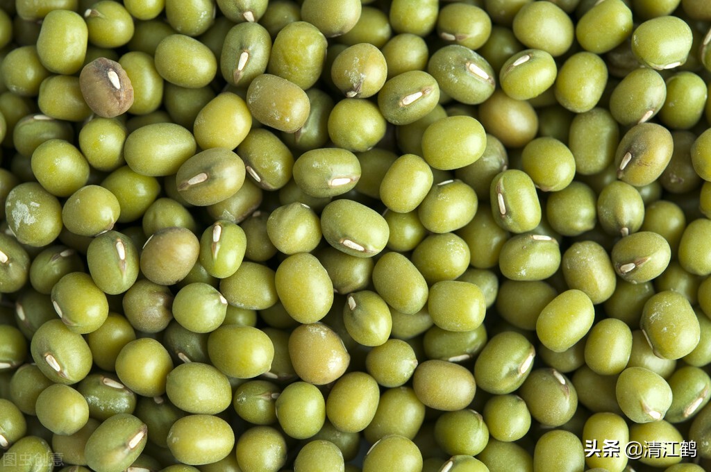 二是绿豆种子消毒与浸泡处理