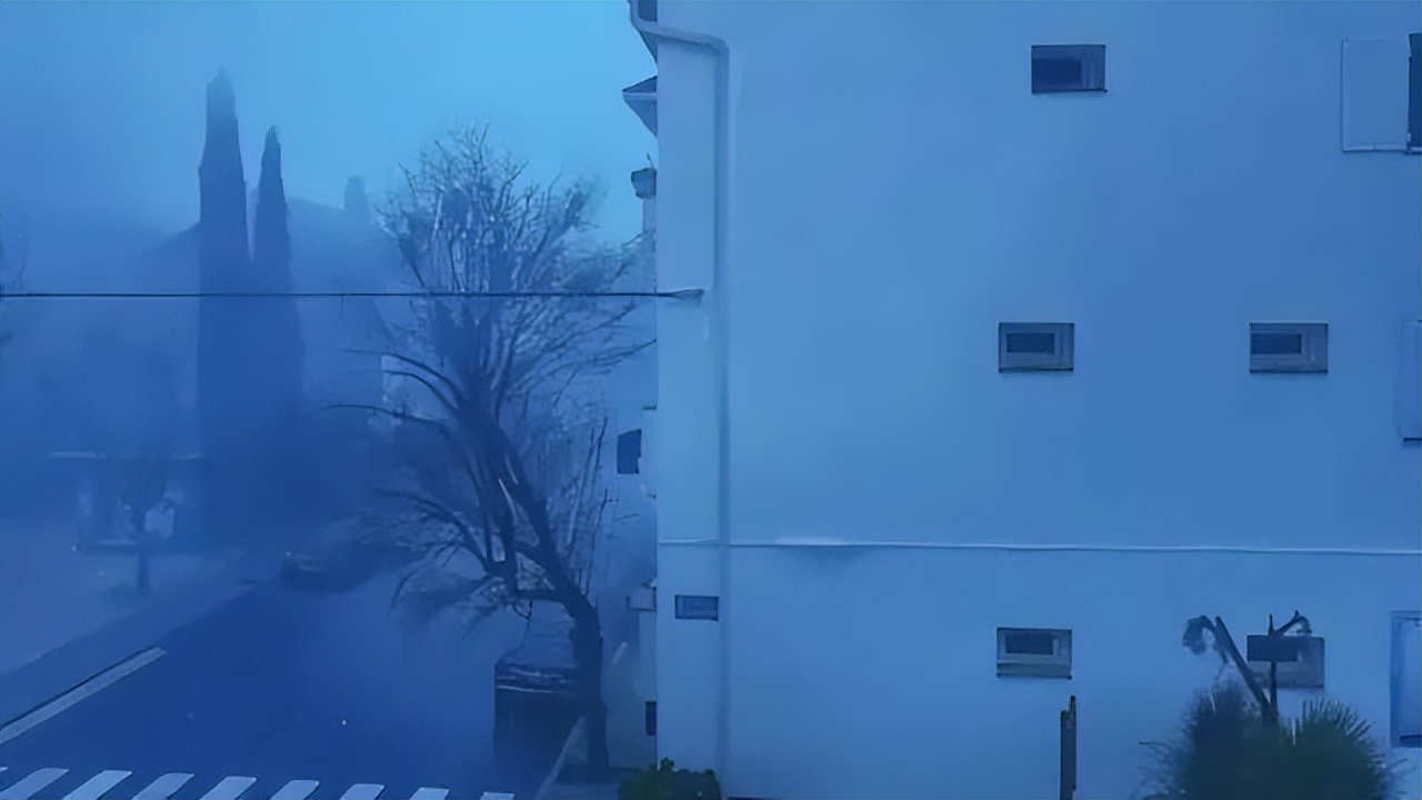 人类很有趣，结构相同爱却不同