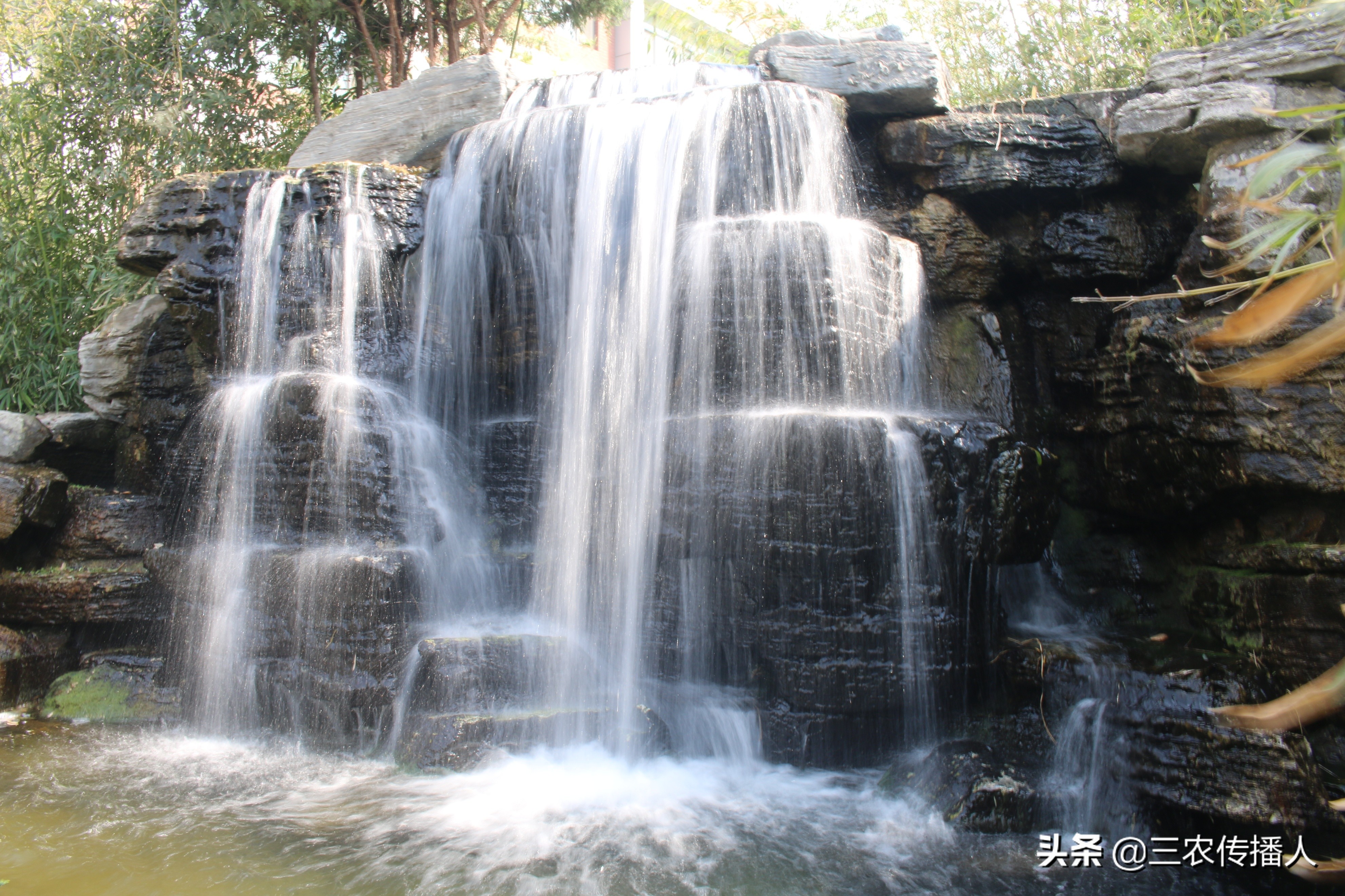 高考将至 | 用照片带你领略中国农业大学~ 是你向往的大学吗？