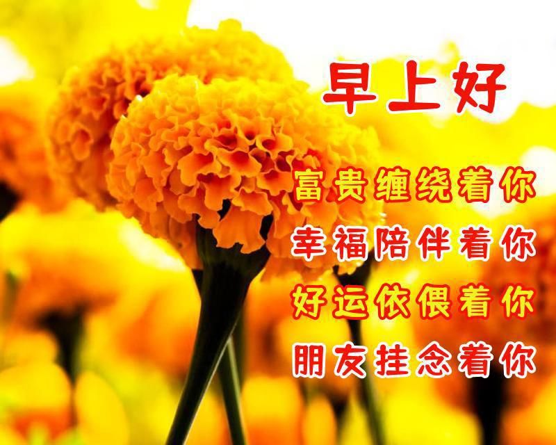 周一早安祝福语,唯美暖心,选一句问候朋友