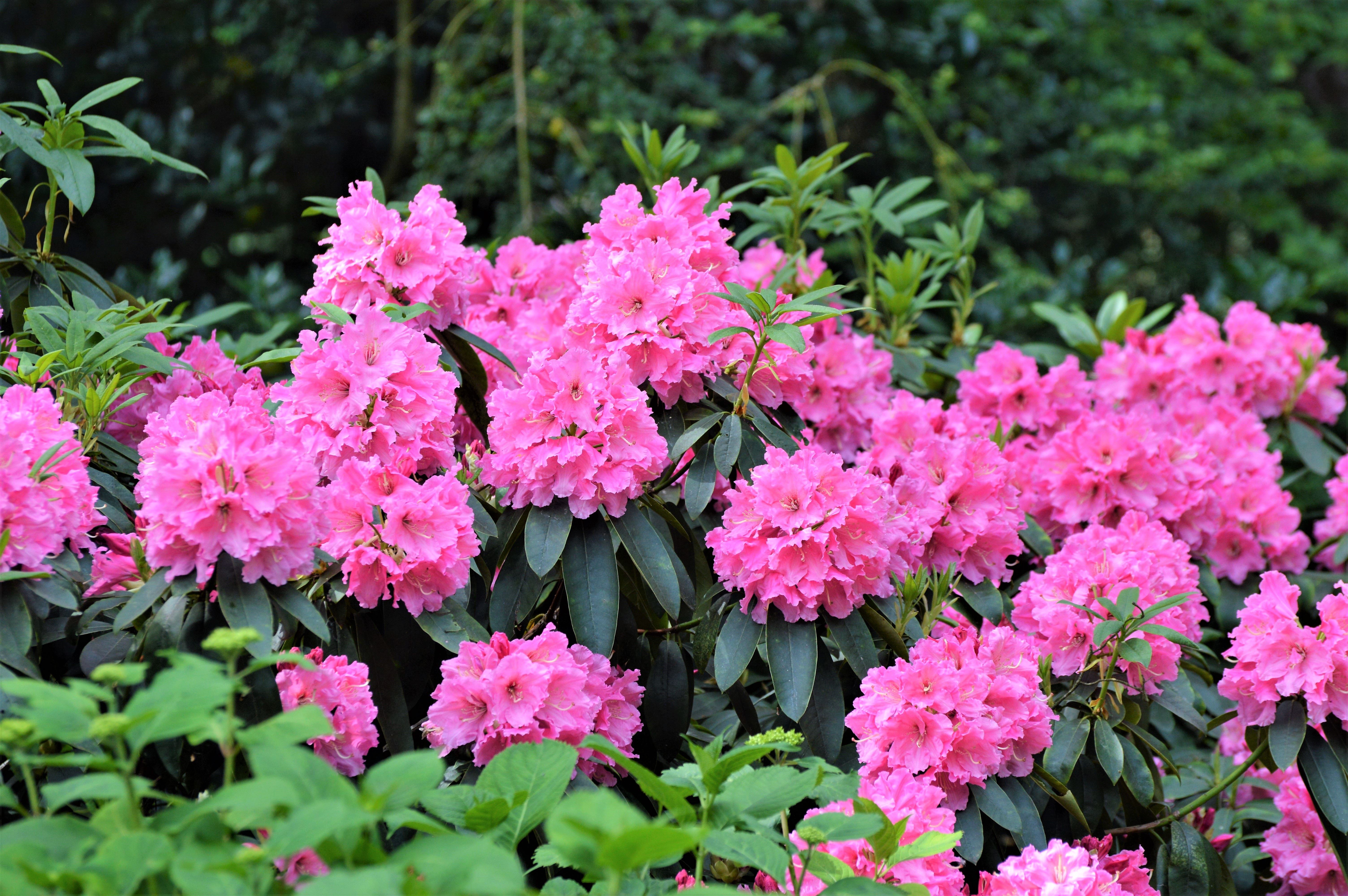 2月1日星座运势1月8日是什么星座 汽车时代网