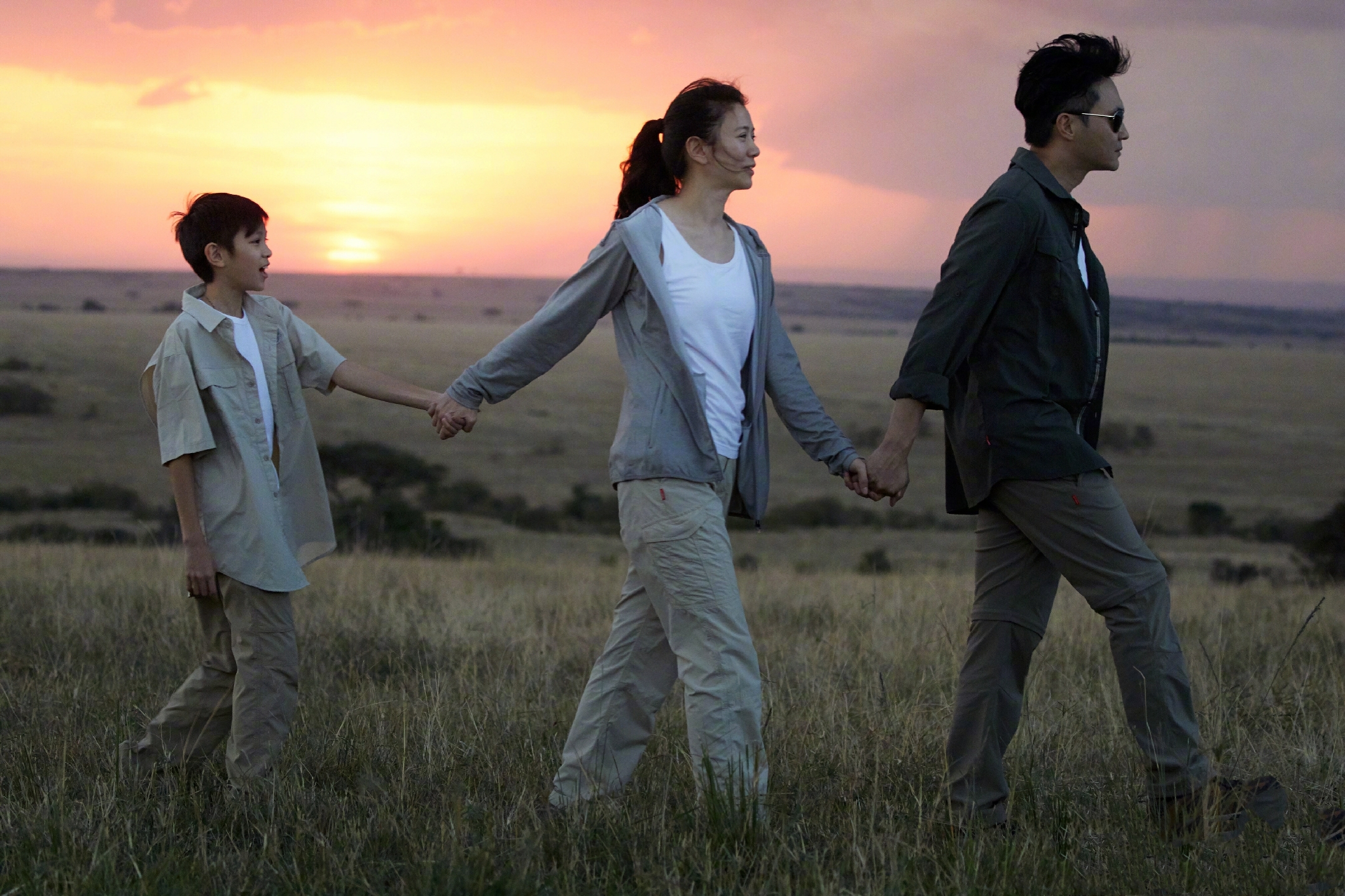 张智霖儿子晒撸猫日常，魔童眼神温柔颜值高，费曼留言梦幻联动