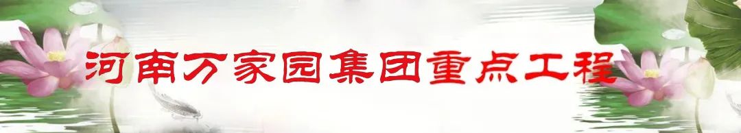 粽香传情——536礼惠端午节