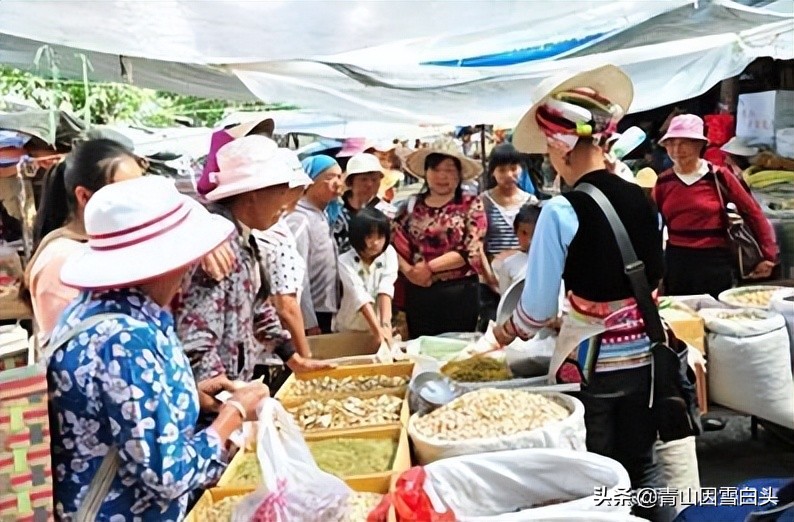 容易赔了夫人又折兵！盘点9个被网红带偏的农村创业项目