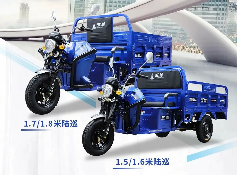 电动三轮车十大品牌揭晓，三大新品震撼上市引领行业新潮流