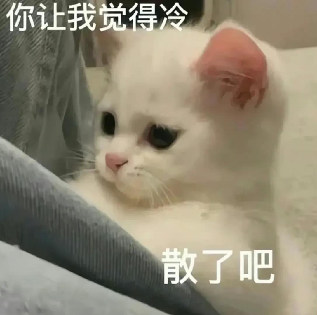 你喜欢吗(你喜欢吗？)