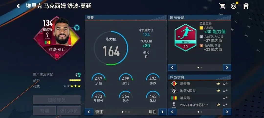fifa足球世界馬內好不好（FIFA足球世界 - 榮光在肩-世界杯上的非洲牌面們）