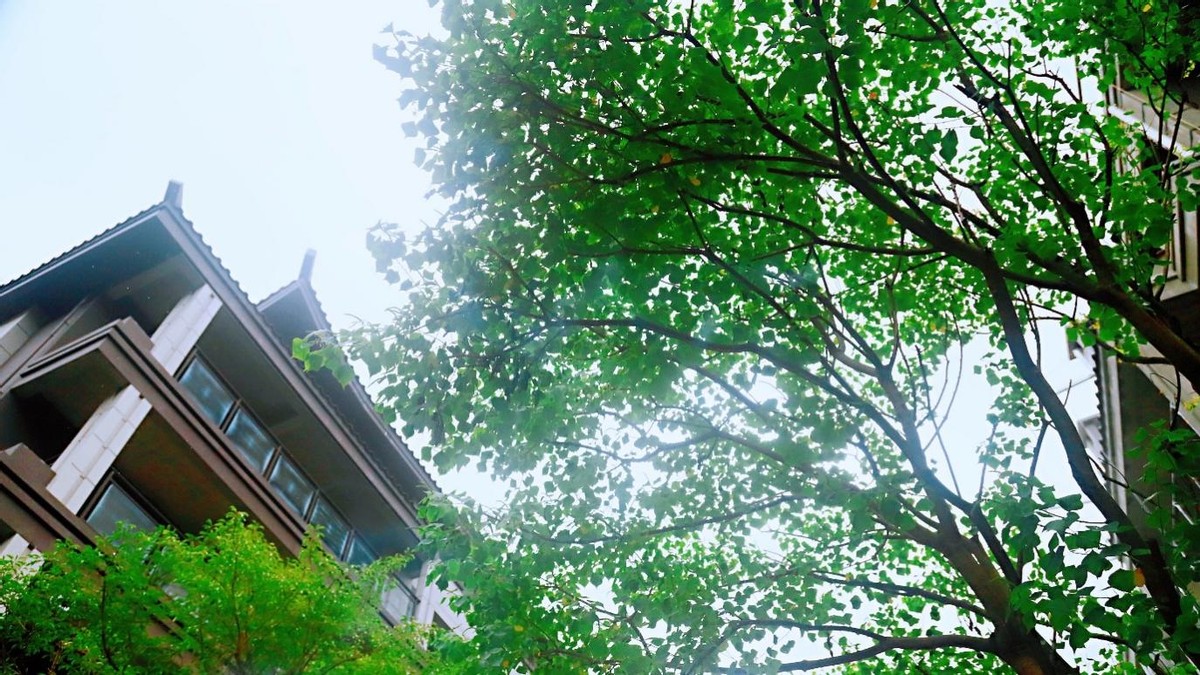 桂林·顺祥郡实景园林&清水样板房惊艳开放