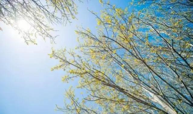 ����Ԥ��������4��5�������ڣ�������ɶ˵����������ũ����Ԥ��