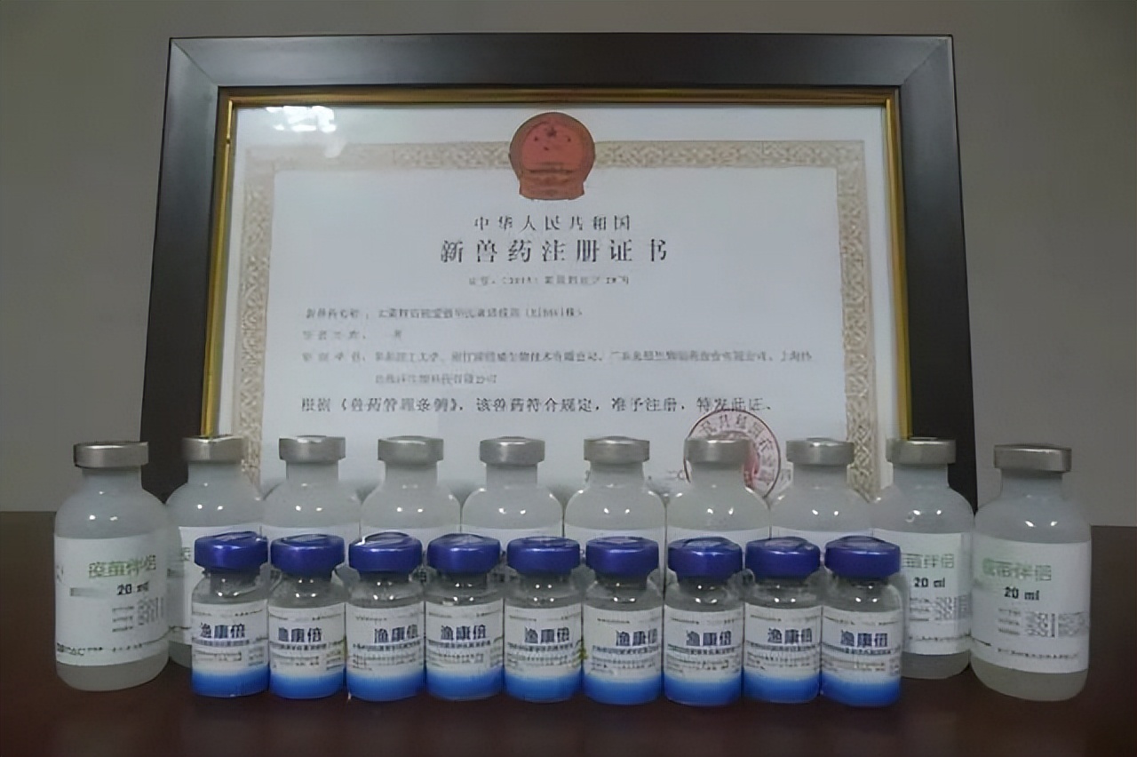 实现世界首个，填补国内空白！上海双一流产出多项重磅成果，获央视新闻关注