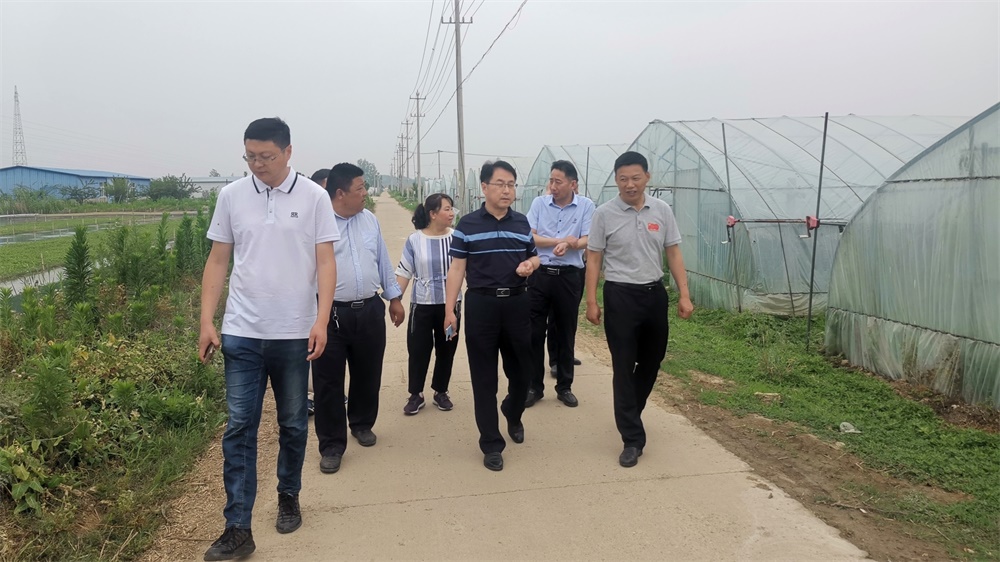淮安市乡村振兴农业专家开展服务基层行动