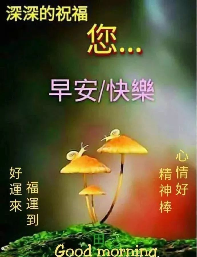 早上好最新的问候语动态表情包，好运来福运到、精神棒心情好