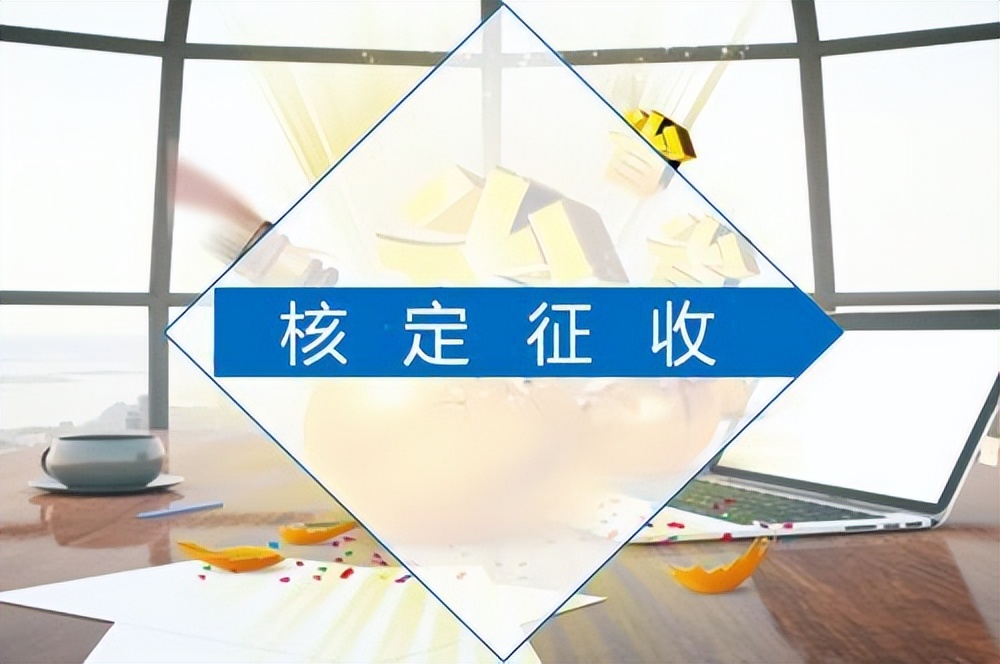 个体工商户注册条件（想注册个税可以核定的个体户）
