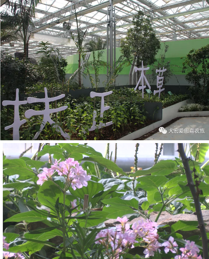 开封爱思嘉·农业嘉年华