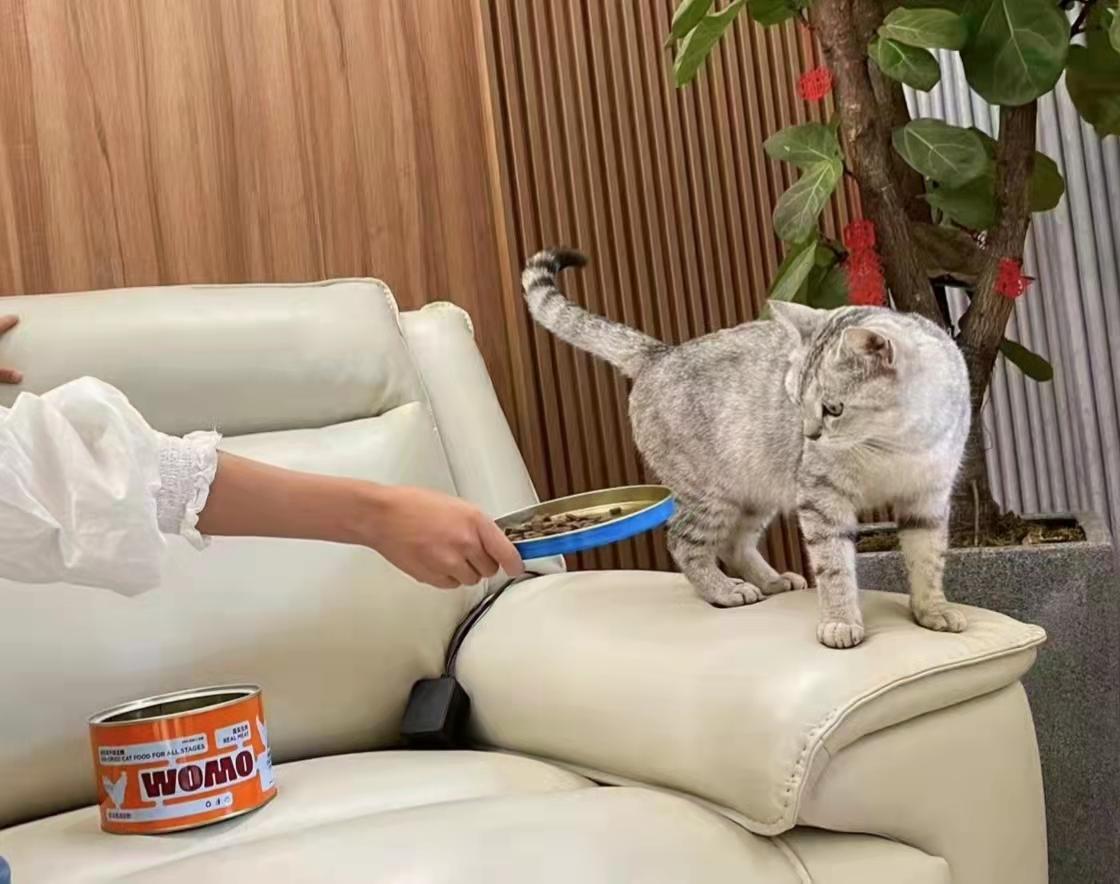 猫粮也有风干的？WOMO全肉猫粮让主子吃点好的
