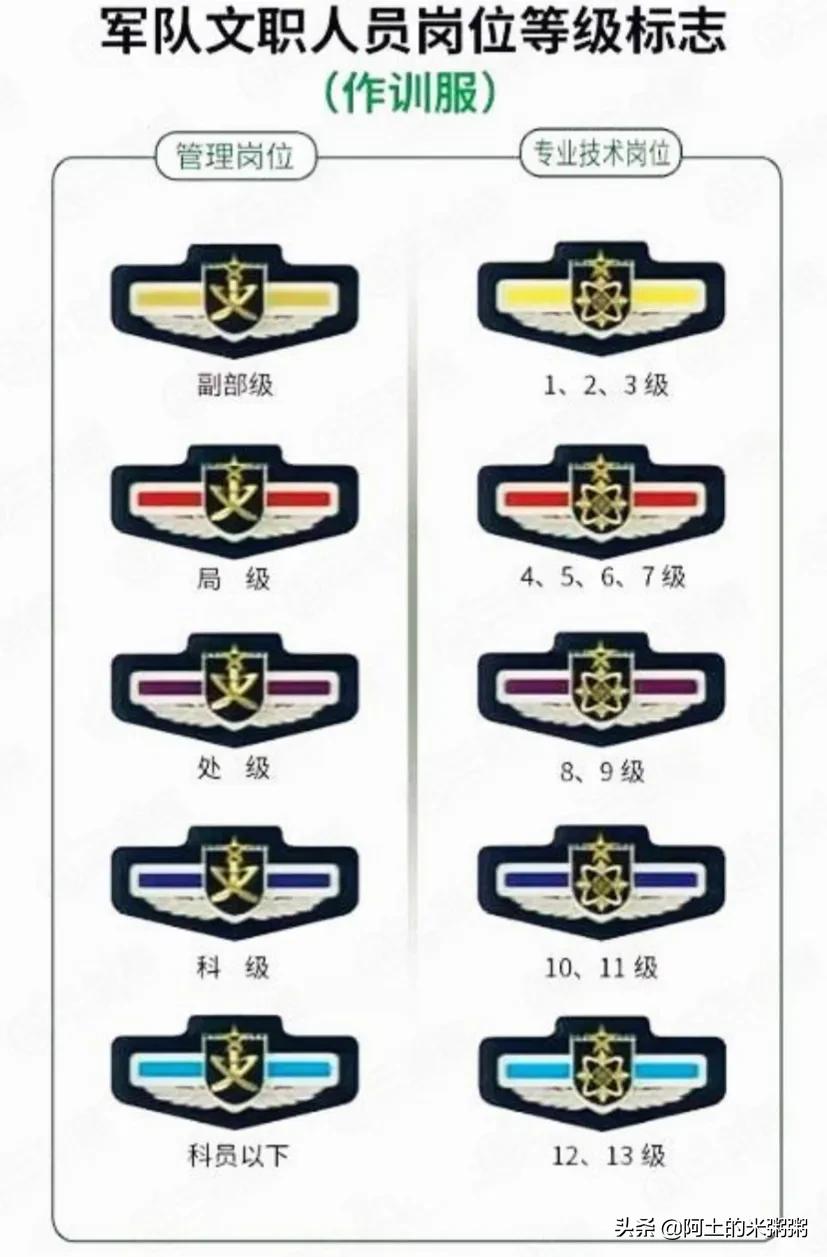 「詳細」談談軍隊文職的職級與待遇問題