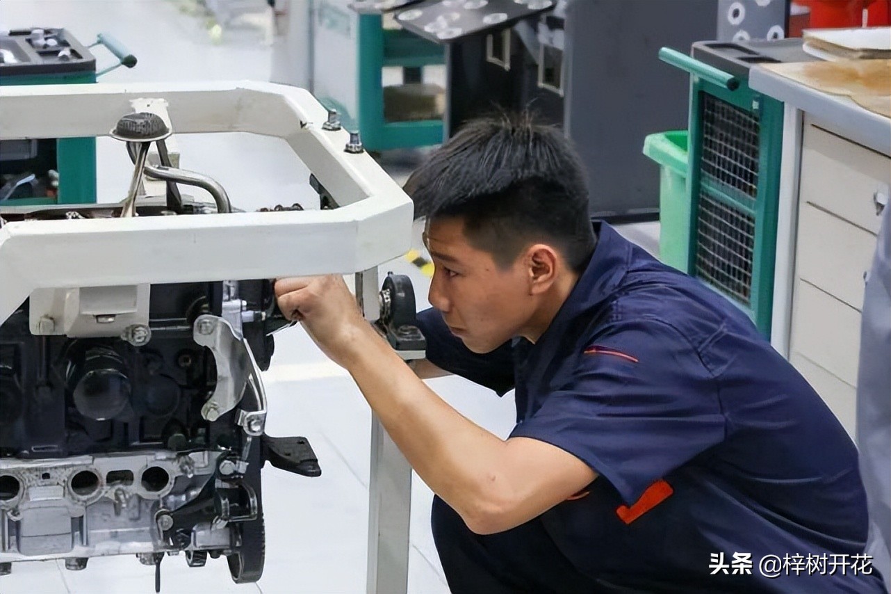 究竟什么才叫专业？“专业”是从哪些方面来判断或评估的？