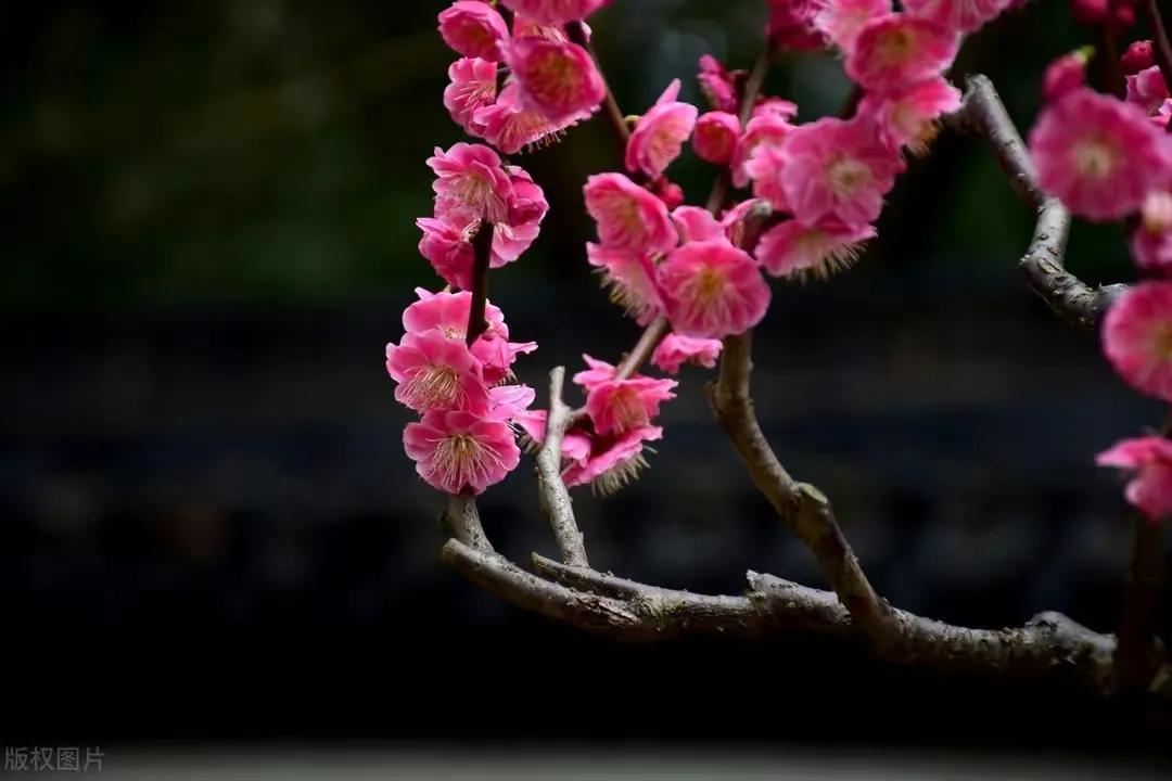 2022高考作文押题Ⅰ考场高分范文《“璀璨”的平凡，必当不平凡》