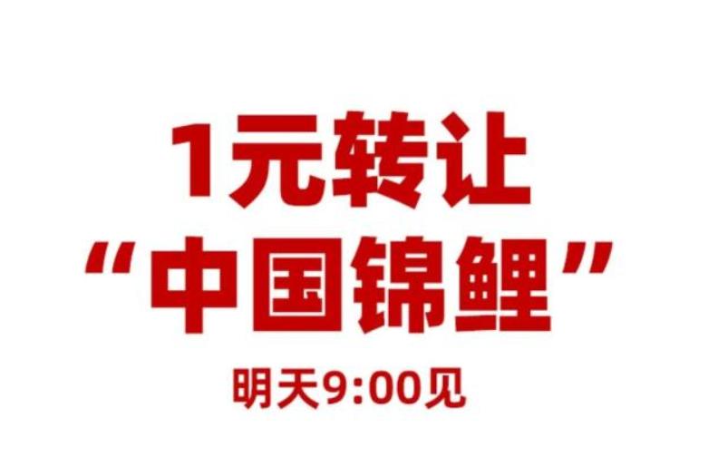 信小呆奖品清单（支付宝一亿大奖清单）