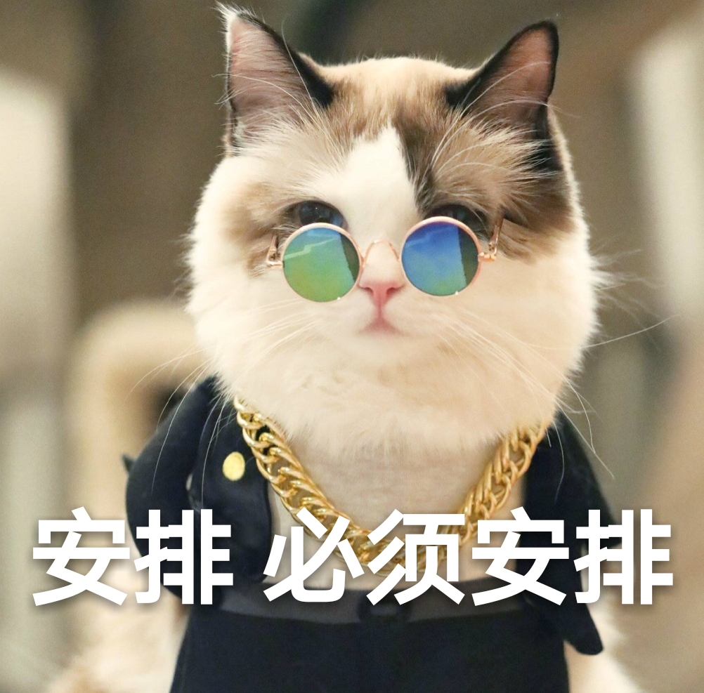如何给猫咪“剪指甲”？收下这份攻略，养猫更轻松