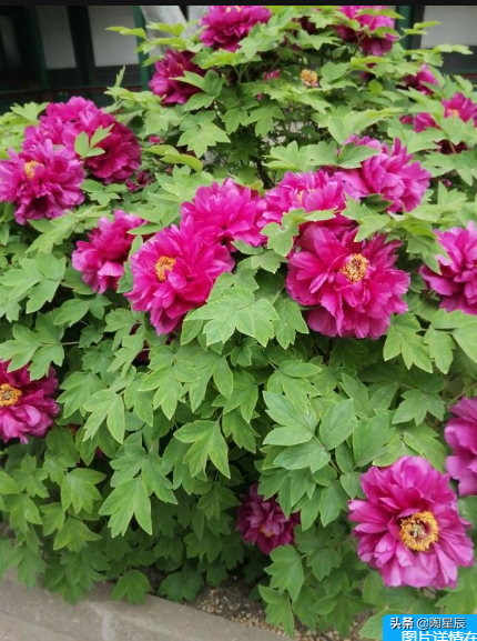 公交徒步游北京：燕翅楼-张之洞故居-郭沫若故居-辅仁大学-旌勇里