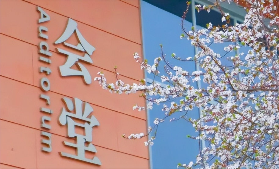 四川00后女企业家，创立酒类品牌，获政府大力支持！毕业于双一流名校！