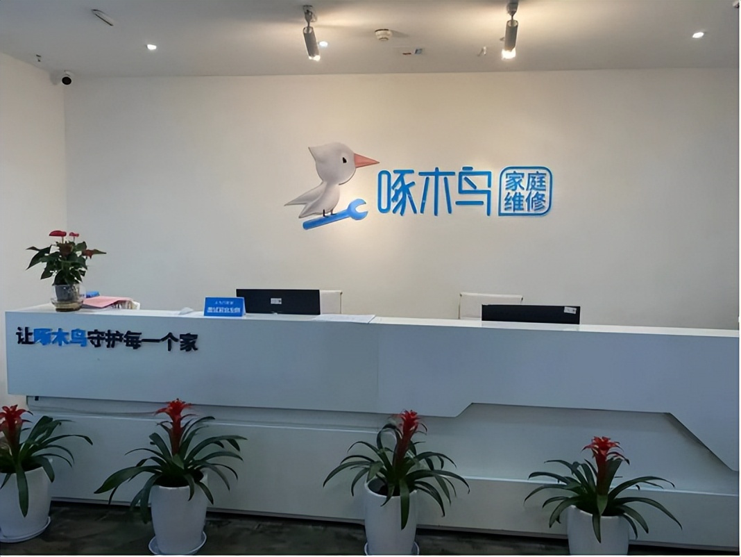 两江新区企业啄木鸟：年投入研发费用达3000万元以技术驱动标准化服务
