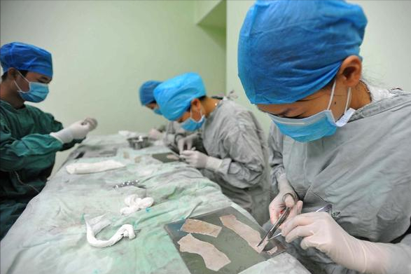 “悔不当初”专业排名，医学荣登榜首，英语仅排第五位