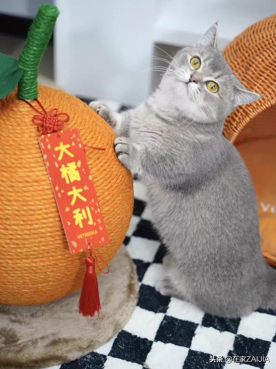 当代青年新年礼物拼的就是出奇不意？送到心坎里的才是真朋友