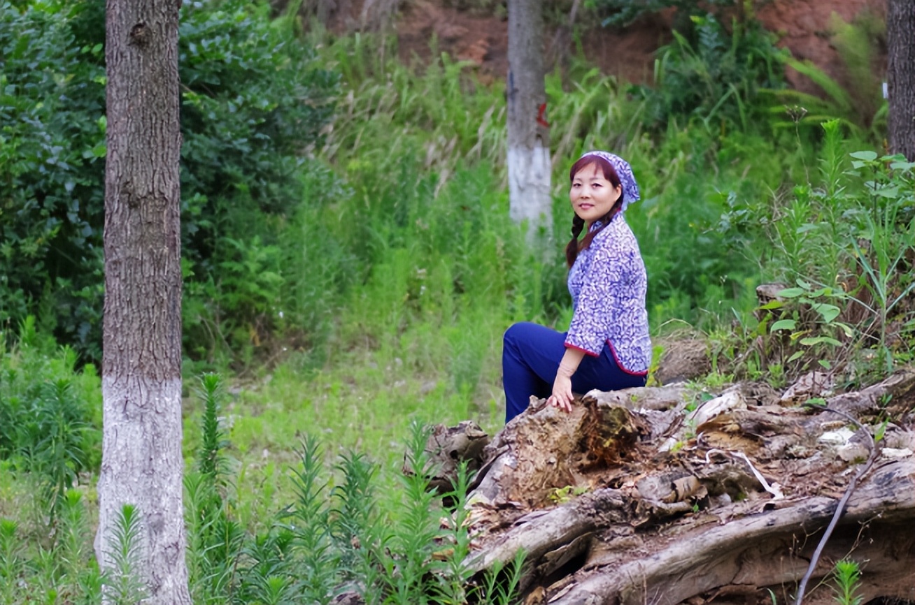 乡村故事(33):与聪明嫂子的合作