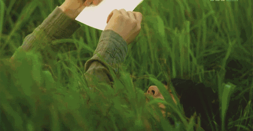 美好治愈的句子