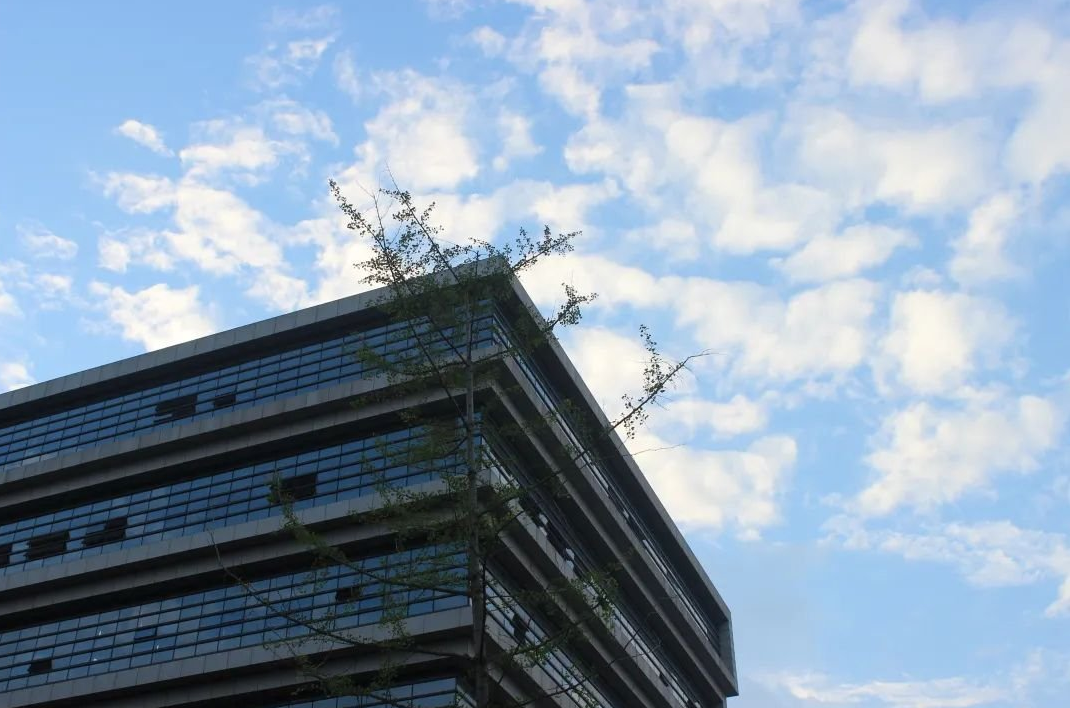 适合一本压线考生报考的10所大学，容易被录取，性价比高