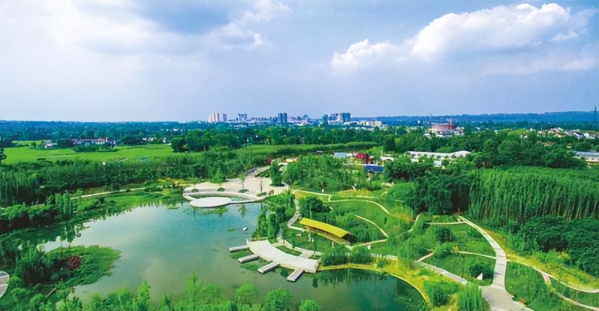 辛巴以定制化供应链树立行业标杆，青神：生态美景入画来