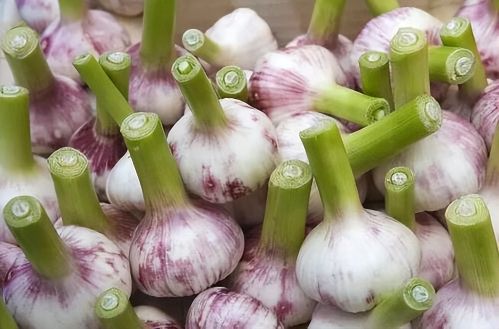 经常吃大蒜的人，或许会收获这8个好处，建议了解一下